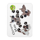 Suche nach chiwawa magnete Hund