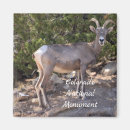 Suche nach rippe magnete Urlaub