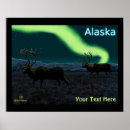 Suche nach tundra poster Arktisch
