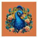 Suche nach pfau poster Feder