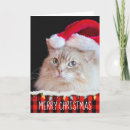 Suche nach ragdoll katzen karten Weihnachten