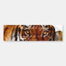 Suche nach felines autoaufkleber Tiger