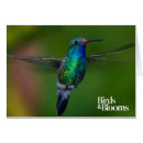 Suche nach vogelkunde postkarten Kolibri