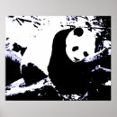 Suche nach sleeping poster Tier