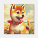 Suche nach shiba inu magnete Welpe