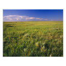 Suche nach grasland poster Niemand