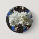 Suche nach weißer baum buttons Natur