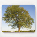 Suche nach ahornbaum mousepads Natur