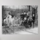 Suche nach vintage zoo poster Geschichte