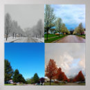 Suche nach vier bäume poster Jahreszeiten