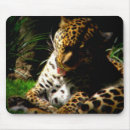 Suche nach wilde katzen mousepads Tierwelt