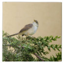 Suche nach spatz fliesen Natur