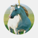 Suche nach weiße pferde ornamente Wildpferde