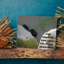 Suche nach affen fotoplatten Gorilla