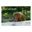 Suche nach affe poster India