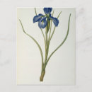 Suche nach 1808 postkarten Joseph