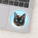 Suche nach katze mit blauen augen aufkleber Siamisch