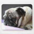 Suche nach pug mousepads Für alle