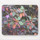 Suche nach herbst blätter mousepads Blume