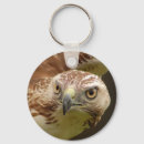 Suche nach falke schlüsselanhänger Raubvögel
