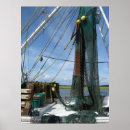 Suche nach garnele poster Natur