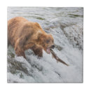 Suche nach braunbär fliesen Alaska