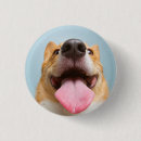 Suche nach corgie buttons Tiere