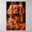Suche nach cavalier king charles spaniel poster Welpe