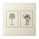 Suche nach botanisch fliesen Creme