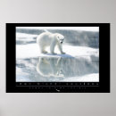 Suche nach polar poster Umwelt
