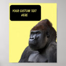Suche nach gorilla foto poster Lustig