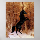 Suche nach friesisch poster Tiere