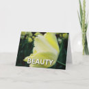 Suche nach profil alle karten Blume
