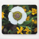 Suche nach colorado mousepads Blume