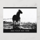 Suche nach tierbild postkarten Tiere