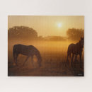 Suche nach araber puzzle Zwei zusammen