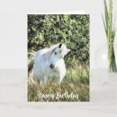 Suche nach graues pferd karten Pony