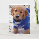 Suche nach hund im schnee karten Goldene retriever