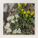 Suche nach gelbe narzisse puzzle Jede person