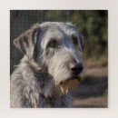 Suche nach irish puzzle Haustier