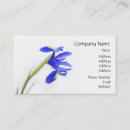 Suche nach iris visitenkarten Mit blumen