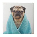 Suche nach mops fliesen Haustier