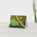 Suche nach morpho karten Fotografie