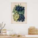 Suche nach vegetarian kunst Vegan