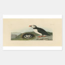 Suche nach audubon aufkleber Vintag