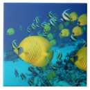 Suche nach schule der fische fliesen Unterwasser