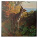 Suche nach hirsch fliesen Botanisch