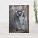 Suche nach lemur karten Lemor