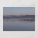 Suche nach softer postkarten Foto