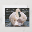 Suche nach cygnet karten Für alle